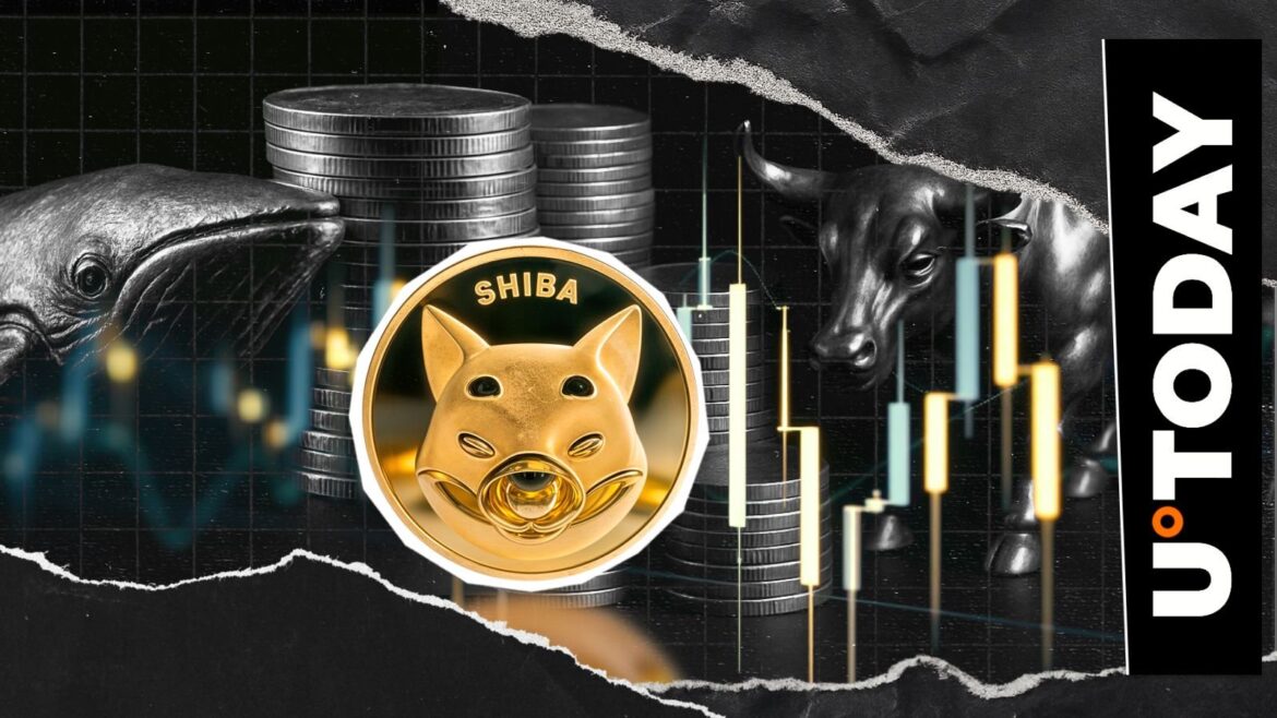 191,857,258,199 SHIB out of Coinbase as New Shiba Inu Meme Coin Bull Is Born