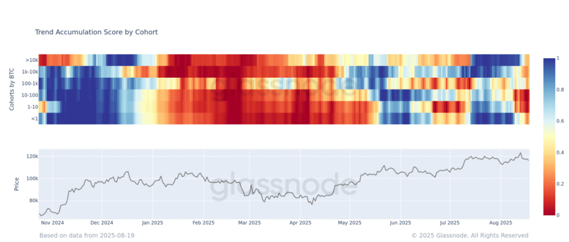 All BTC Wallet Cohorts Now in Distribution Mode