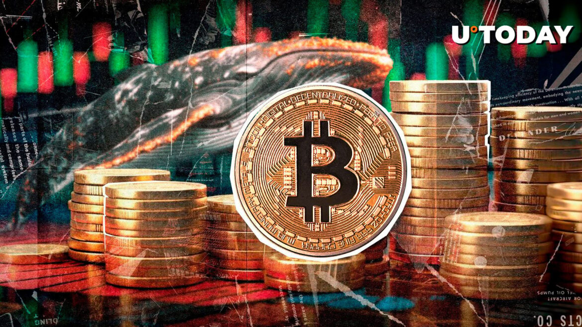 Bitcoin Bull Run Finished? $172 Million Mystery Whale Thinks Opposite