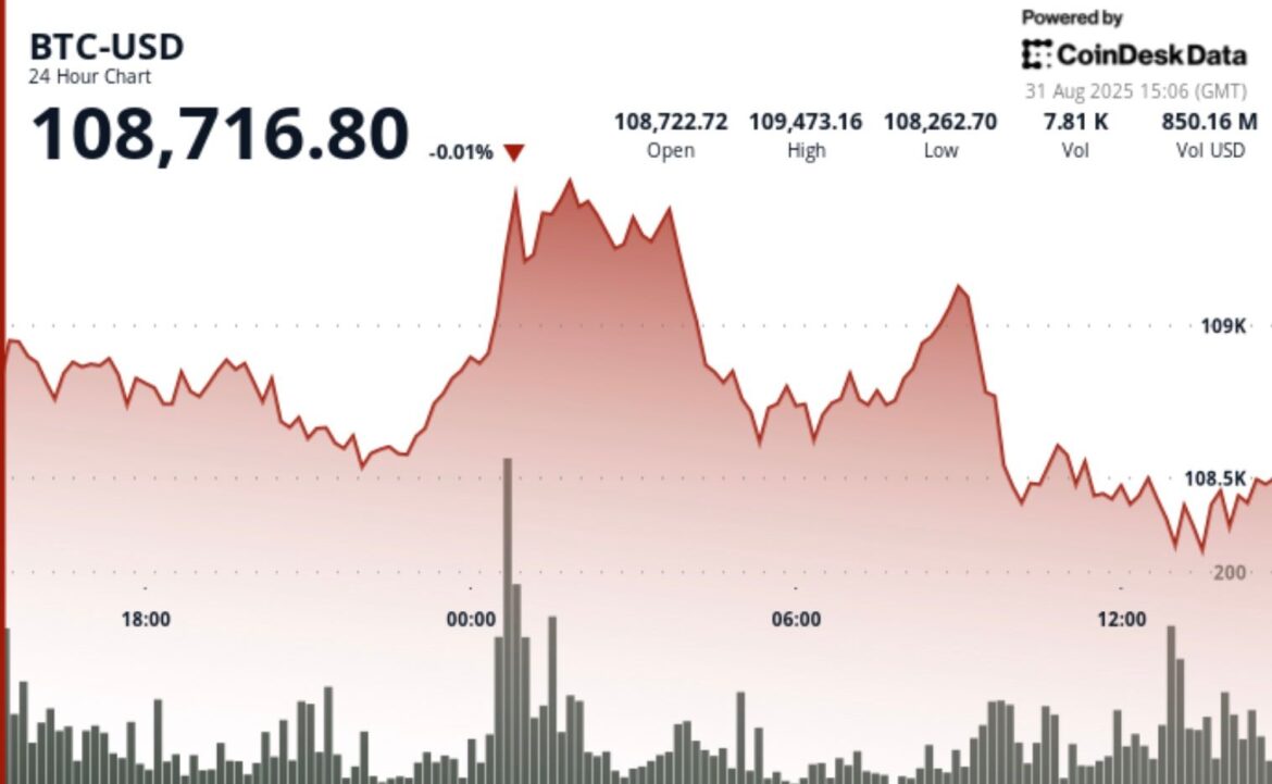 Chart showing corporate bitcoin treasury growth in July and August 2025