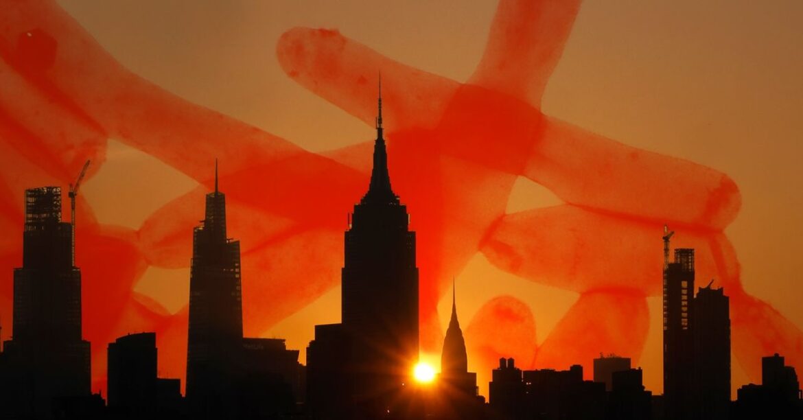 Climate Change Is Bringing Legionnaire’s Disease to a Town Near Climate Change Is Bringing Legionnaire’s Disease to a Town Near You
