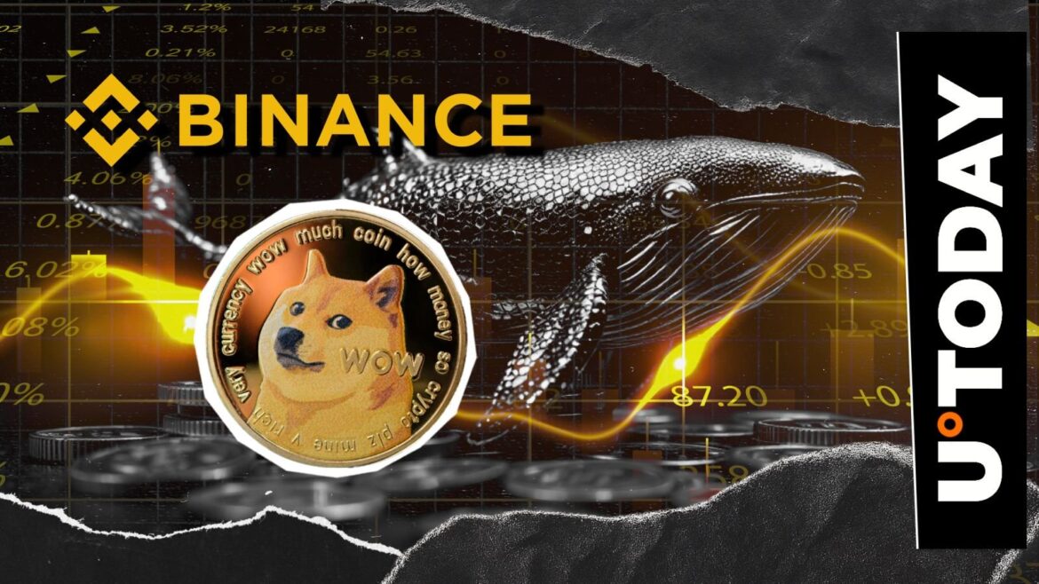 Dogecoin Whale Empties Binance: 52.9 Million DOGE Leave World's Largest Crypto Exchange