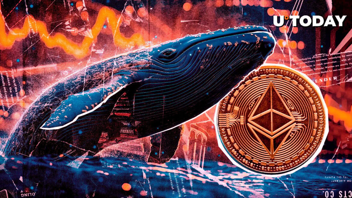 Ethereum Whales Buy Dip With $200 Million in ETH Acquired