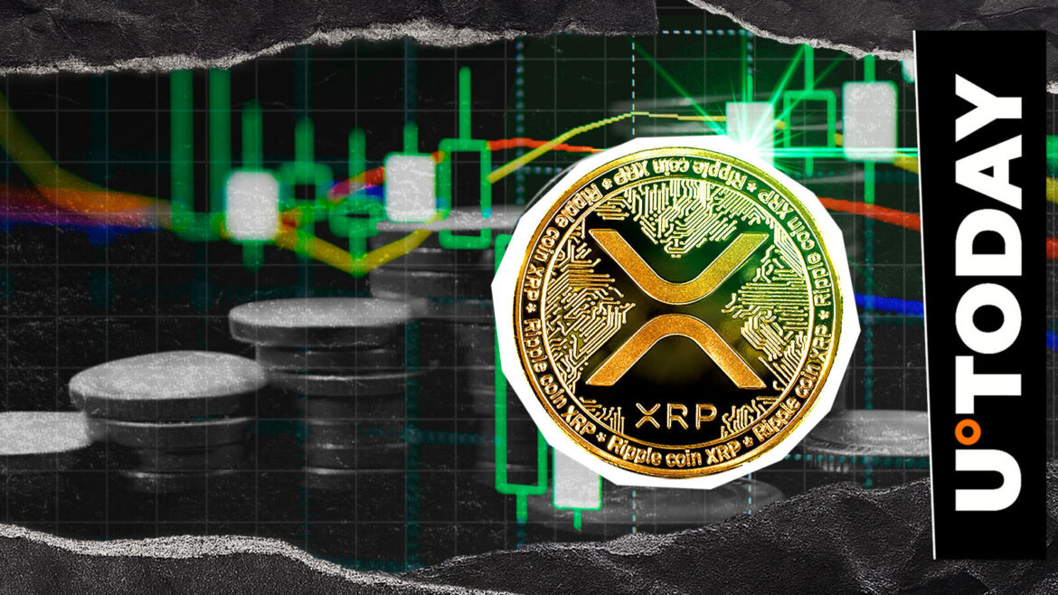 Fundamental XRP Growth: This Is Why It's Crucial