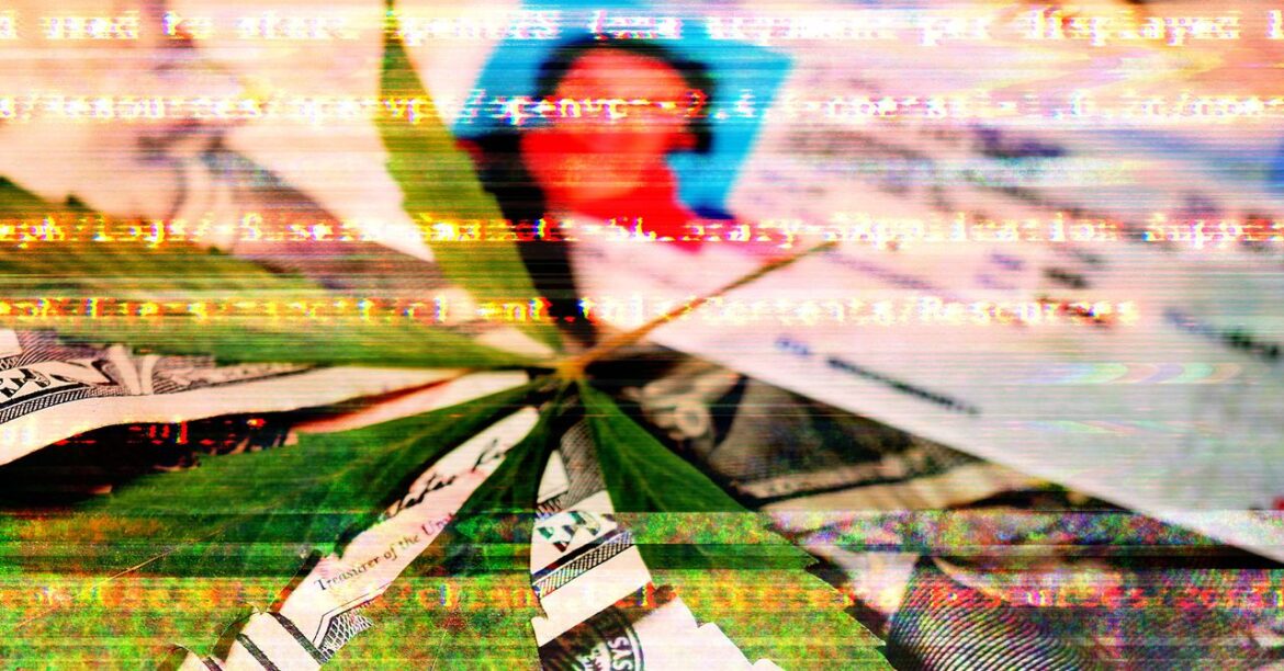 Highly Sensitive Medical Cannabis Patient Data Exposed by Unsecured Database