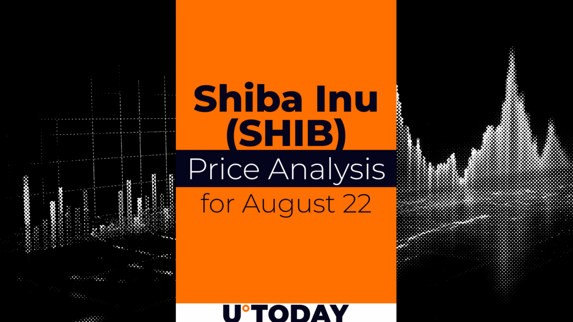 SHIB Price Prediction for August 22