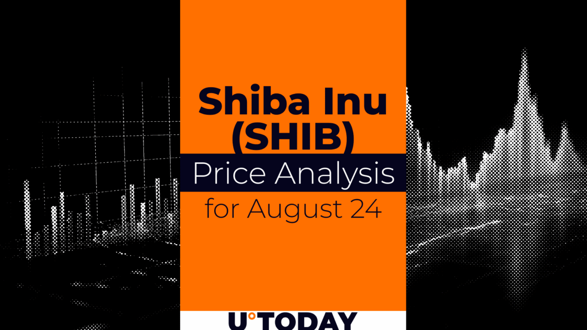 SHIB Price Prediction for August 24