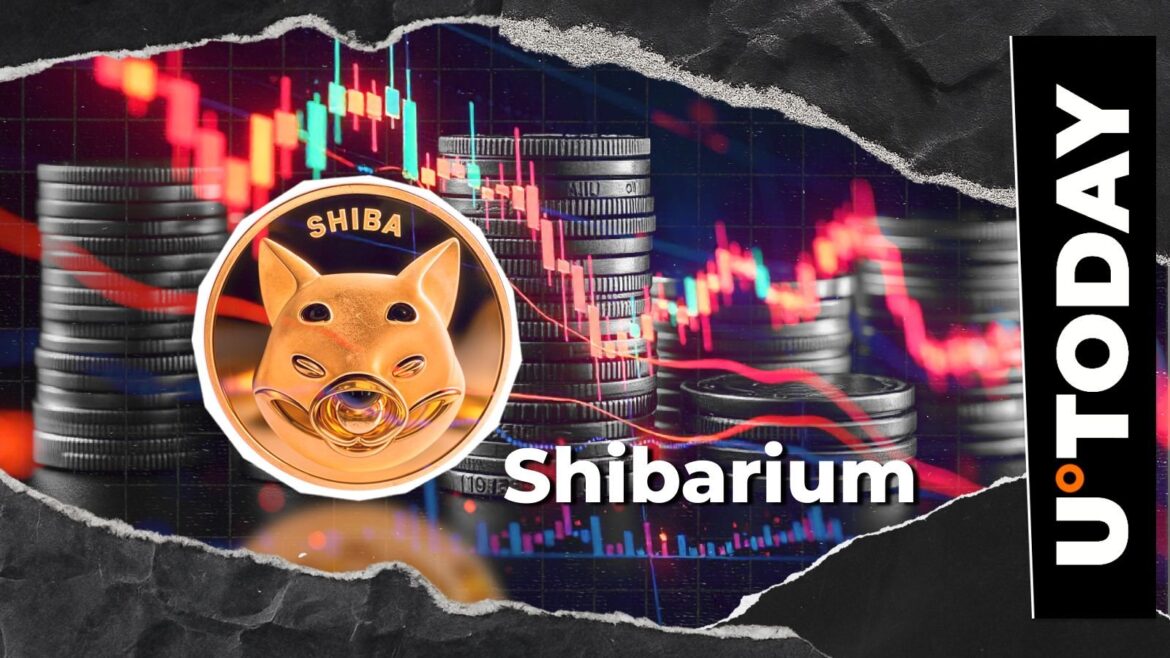 Shiba Inu: Shibarium Hit With 99.8% Drop as Transactions Hit Rare Low