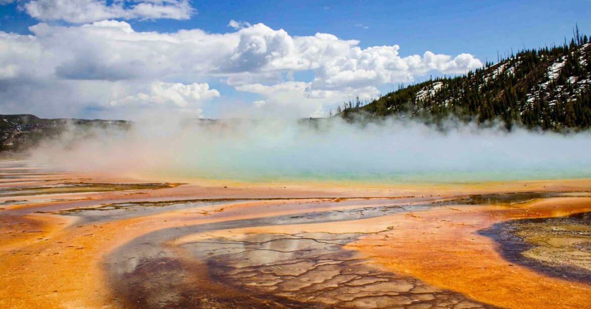 These Newly Discovered Cells Breathe in Two Ways