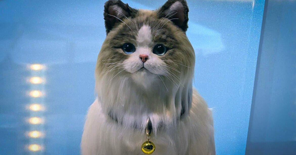 Today in video games - 26th August: the Gamescom mop-up continues as the industry takes a breath