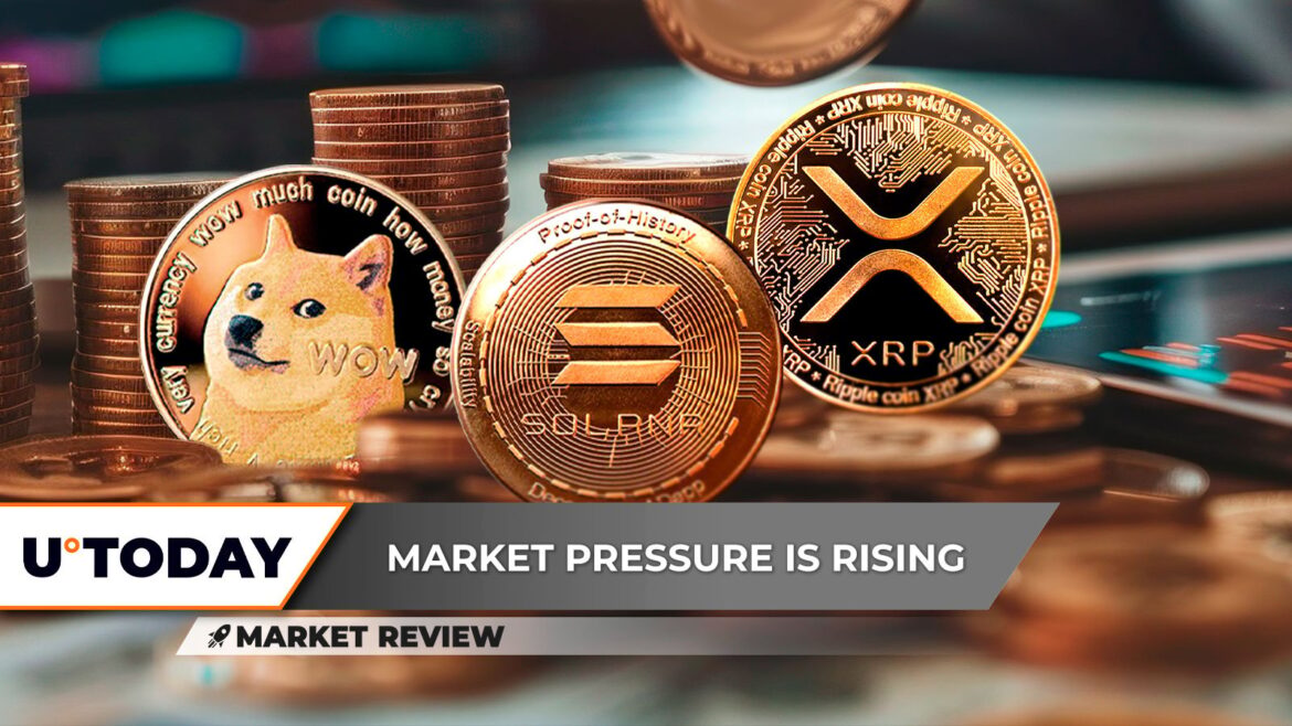 XRP Paints Critical Divergence, Dogecoin (DOGE): Last Chance, Explosive Solana (SOL) Rally Now?