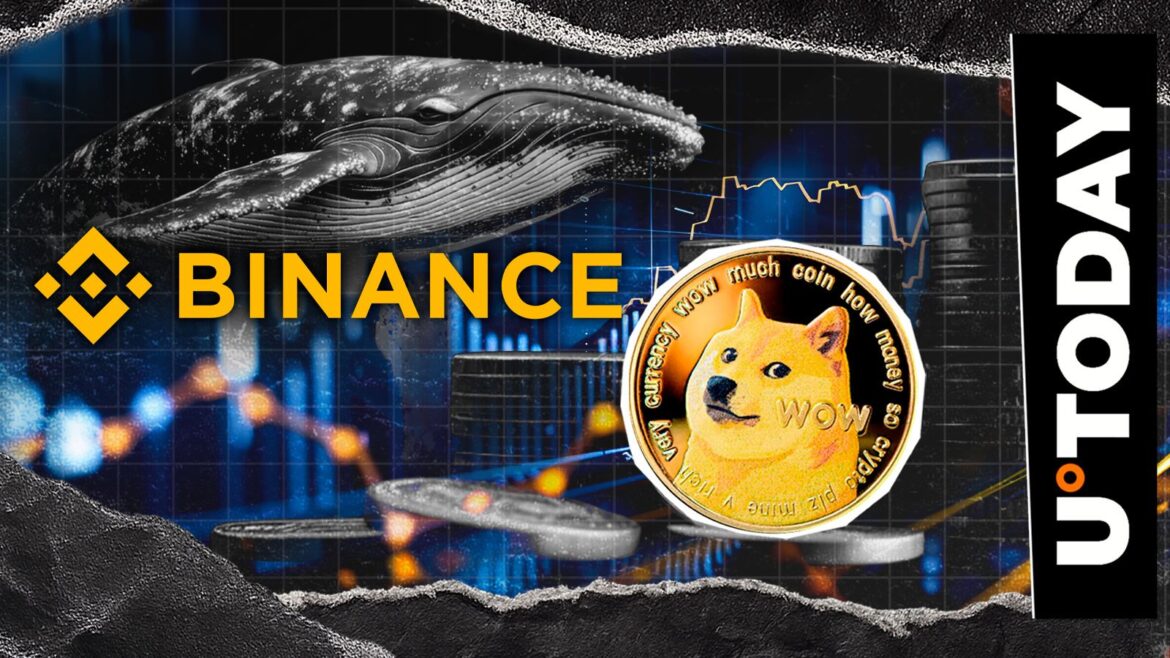 10,366,683 DOGE Out of Binance as Dogecoin Whale Turns Meme Coin Bull