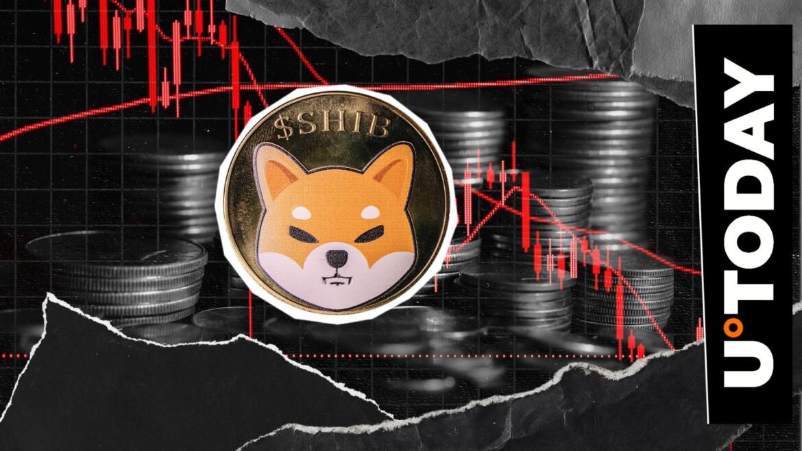 -243,735,301,882 Shiba Inu (SHIB) in 24 Hours Critically Important: Details