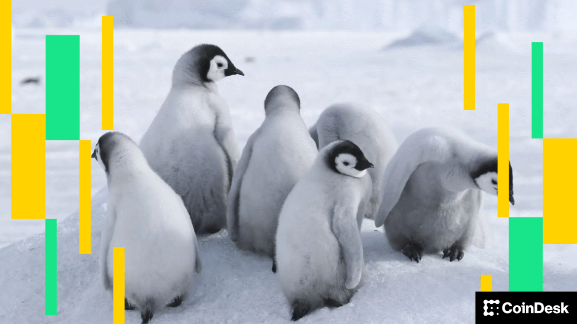 BTC Price Pulls Back, PENGU Open Interest Surges