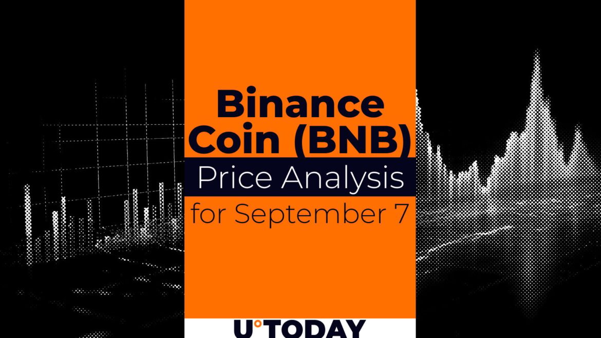 Binance Coin (BNB) Price Prediction for September 7 Binance Coin (BNB) Price Prediction for September 7