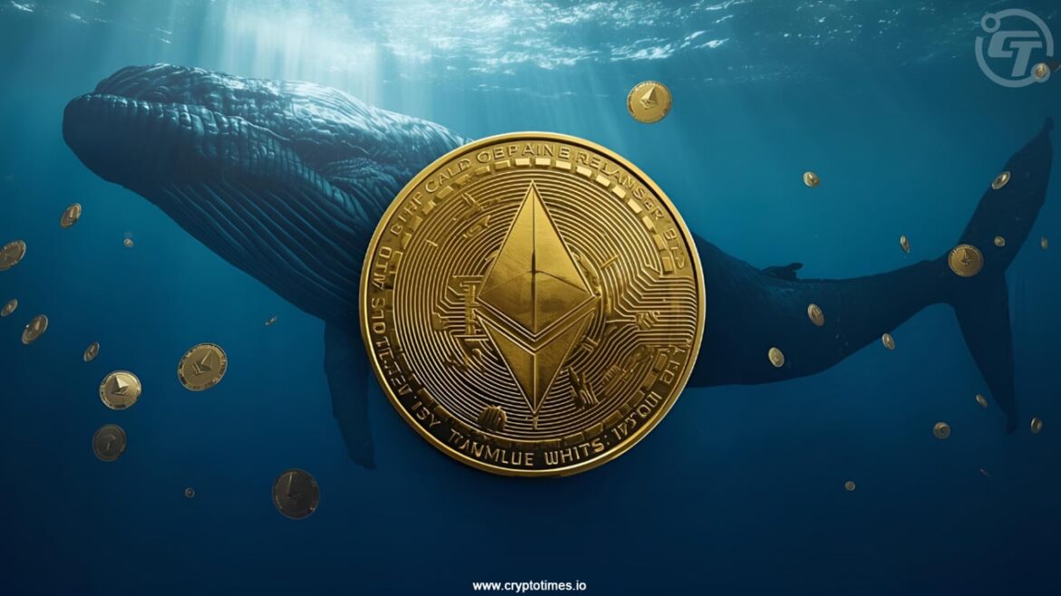 Ethereum ICO Whale Stakes $646M as Price Holds Above $4.3K Ethereum Ico Whale Stakes $646M As Price Holds Above $4.3K