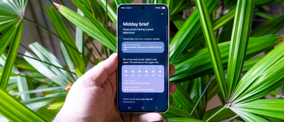 Samsung Galaxy S25 FE in hand with long green leaves behind