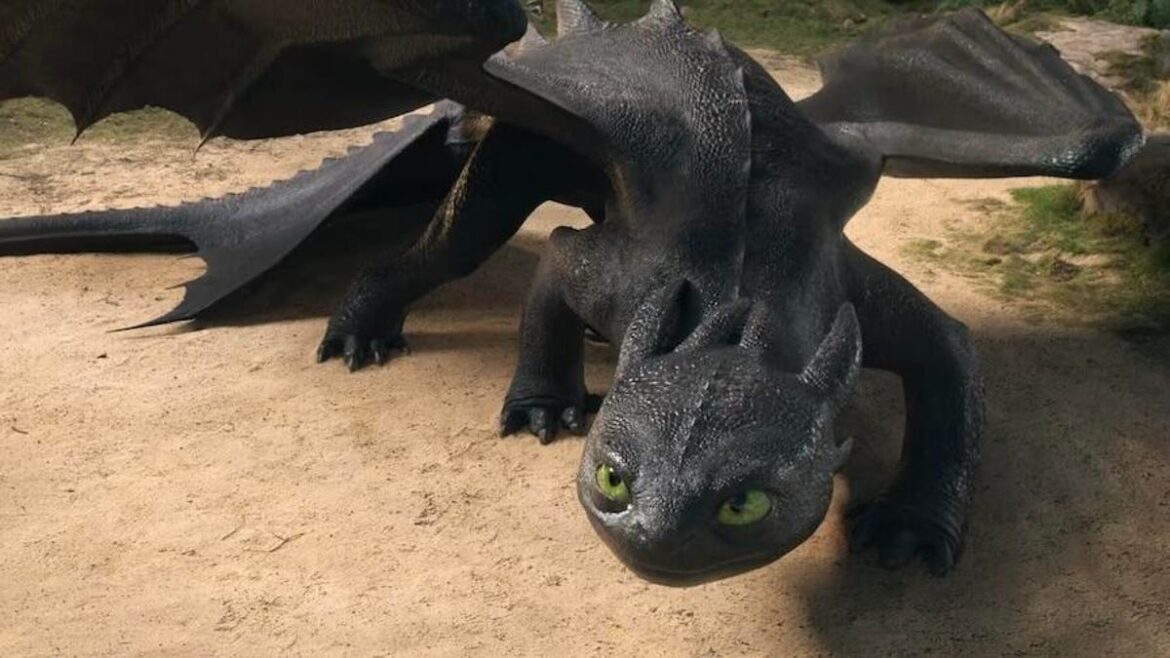 How to Train Your Dragon