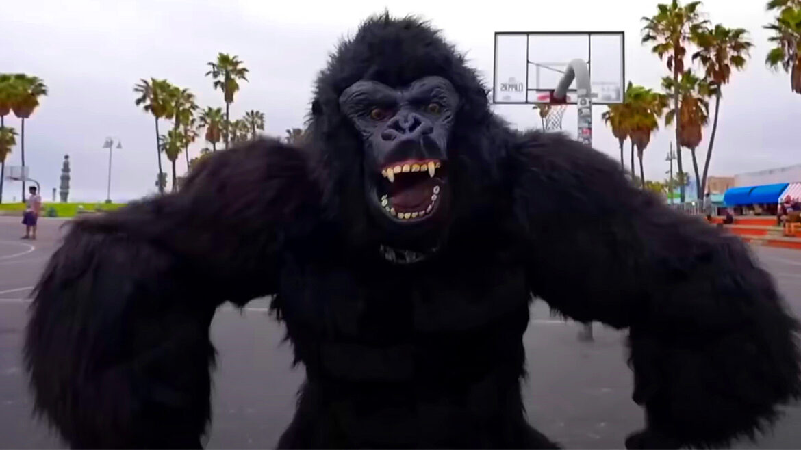 Conservation officer looking out on mountain