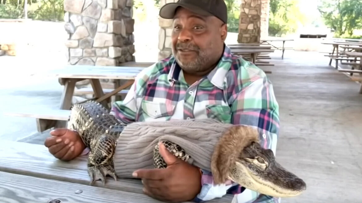A mother and daughter pose with a pet horse beside a lion in a zoo enclosure.
