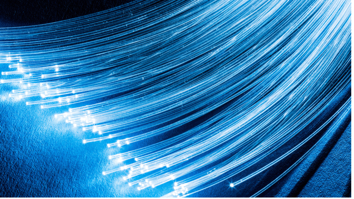 A bundle of blue fiber optic cables. 