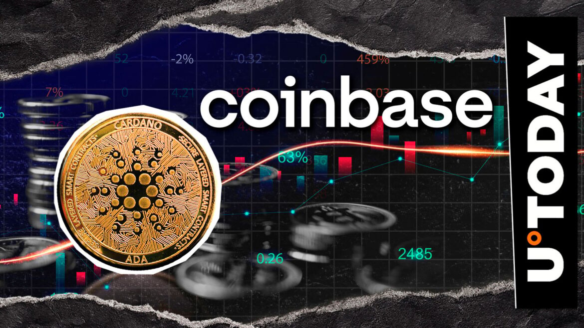 Mysterious Cardano Whale Empties Major US Exchange for 67,926,042 ADA