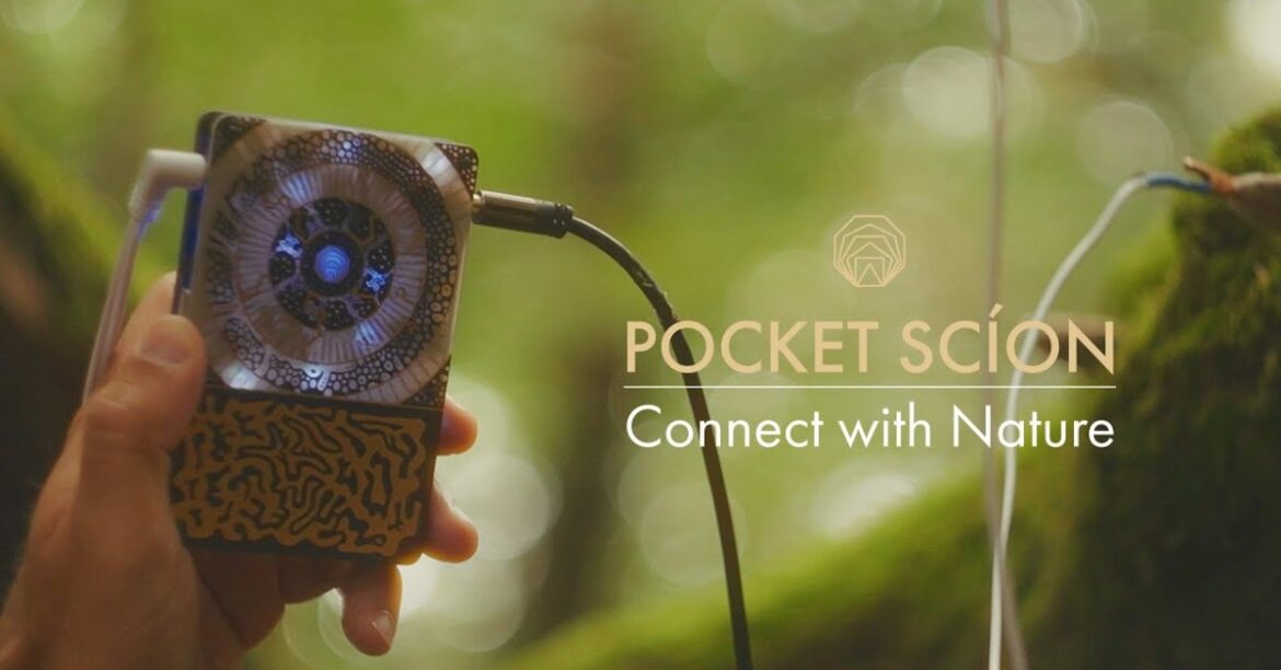 Pocket Scion is a synth you play with plants Pocket Scion is a synth you play with plants