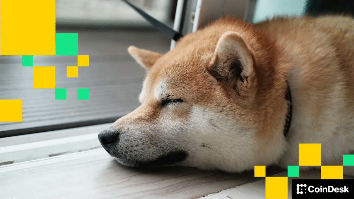SHIB, Dogecoin (DOGE) Prices Slide $2.4M Shibarium Hack