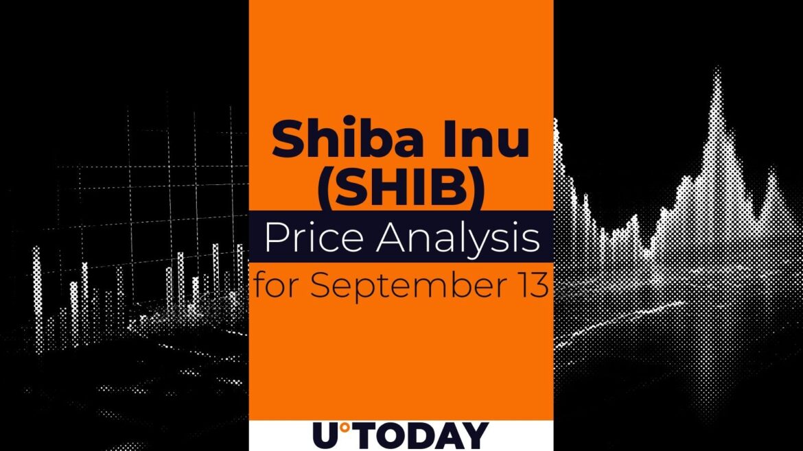 SHIB Price Prediction for September 13