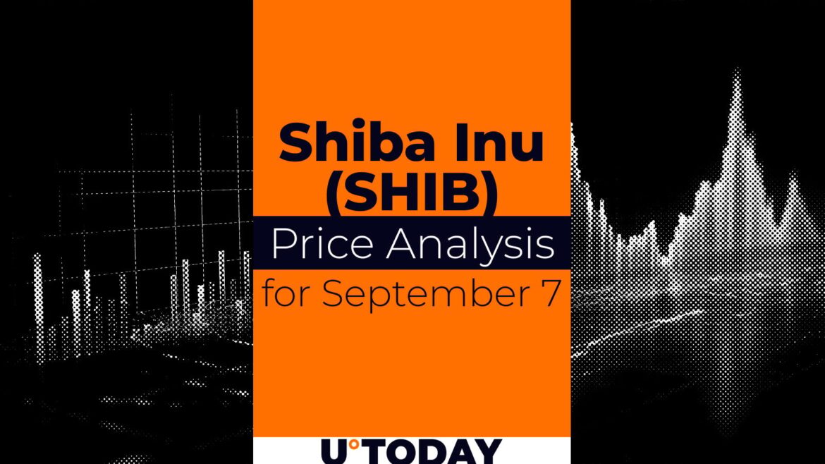 SHIB Price Prediction for September 7