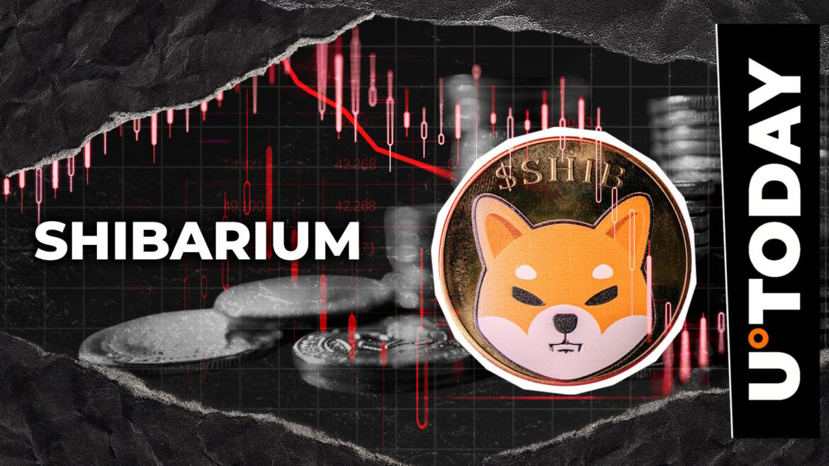 Shiba Inu Coin Turns Red Amid Shibarium Incident: How Bad Is It for SHIB?