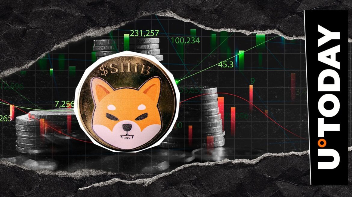 Shiba Inu Rockets 440% in Crucial Metric, But Price is Down