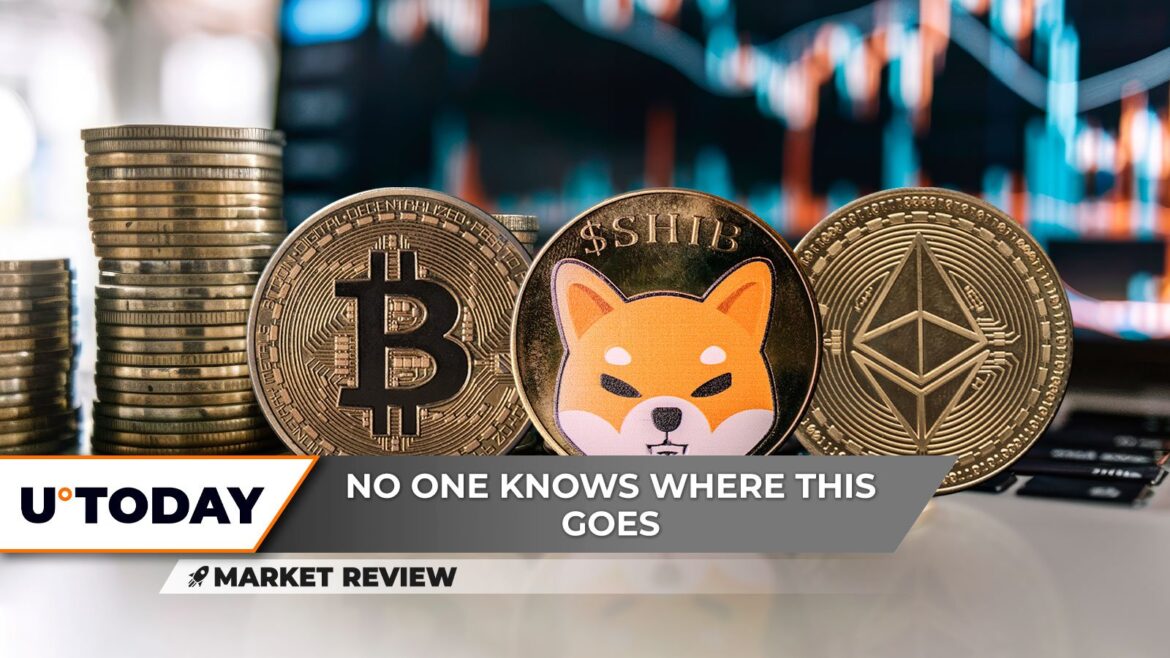Shiba Inu (SHIB) Biggest 2025 Breakout Is Around, Bitcoin (BTC) Recovery Failed, Ethereum (ETH): Worst Since Hitting $4,000?