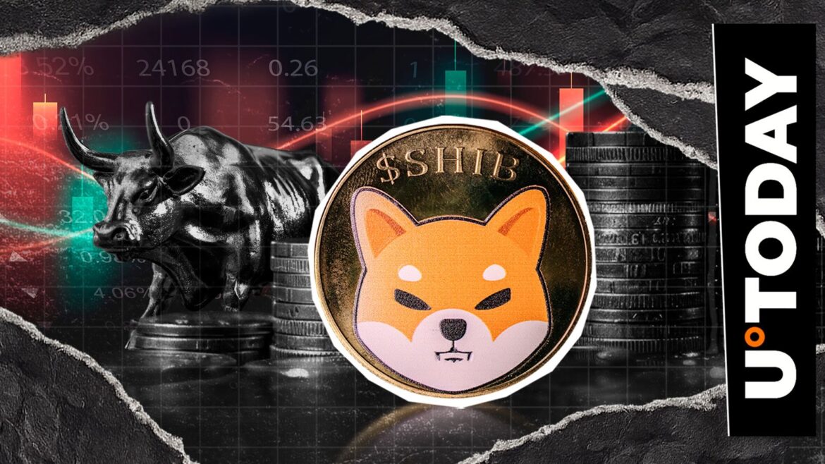 Shiba Inu (SHIB) Crashes: -70% in This Bearish Metric