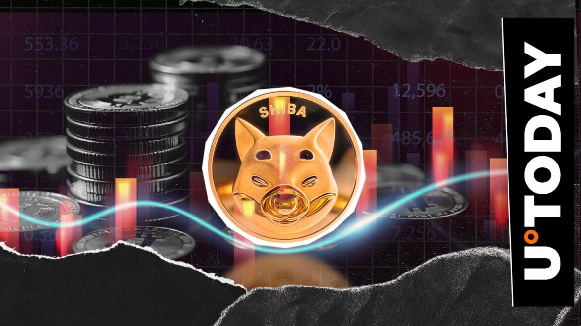Shiba Inu on Verge of Losing $0.000013 Now: 0% Growth