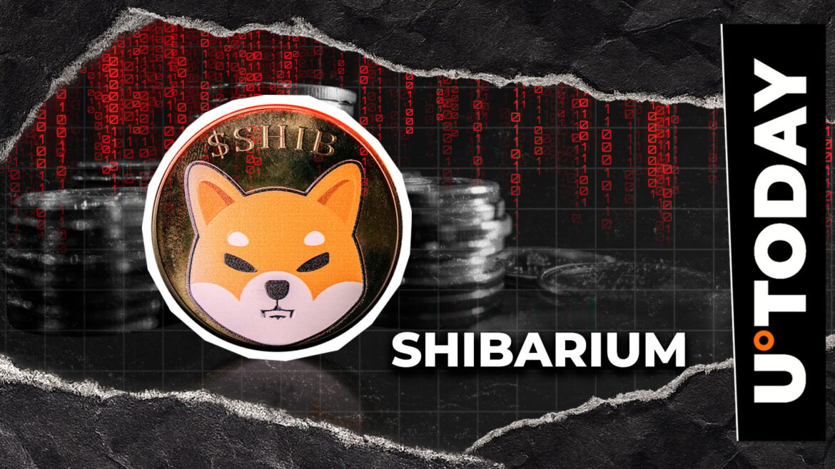 Shibarium Bridge Remains Paused After Hack, Asset Recovery Still Unclear