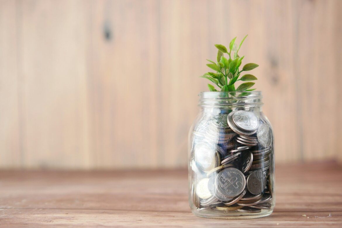 StablecoinX Secures $530M Investment o Back Ethena-Linked Treasury Indian flag (Naveed Ahmed/Unsplash)