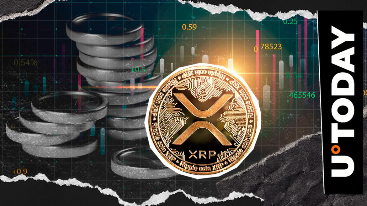 XRP: Be Ready in Next 24 Hours