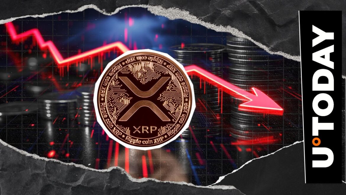 XRP Hit by 710% Liquidation Imbalance in Just 24 Hours