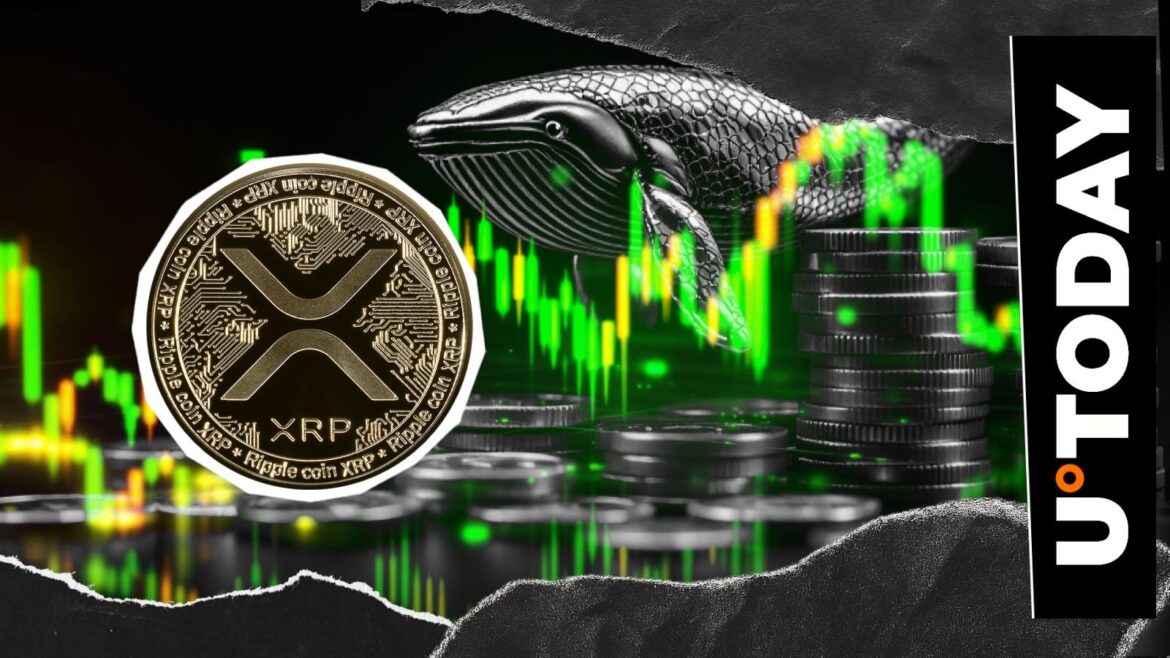 1,300,000,000 XRP in 8 Hours: Whales Going Crazy